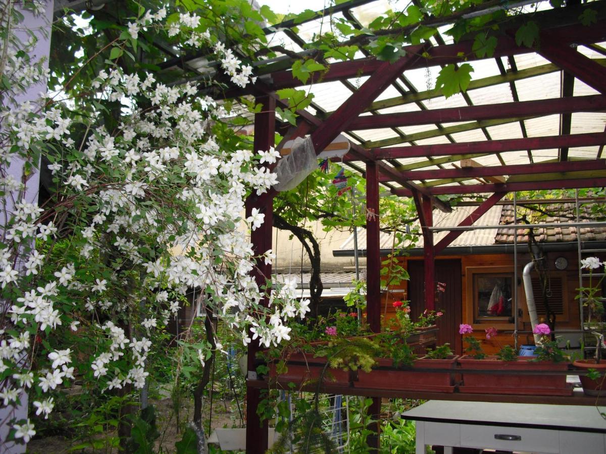 La Baraque Villa Colmar Exteriör bild